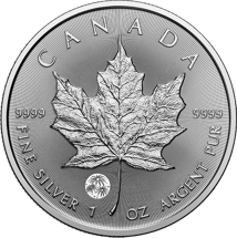 1 Unze Silber Treasured Maple Leaf 2025 Congratulations (Auflage: 25.000 | Privy Mark)