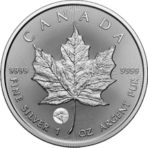 1 Unze Silber Treasured Maple Leaf 2025 Polarbär (Auflage: 25.000 | Privy Mark)