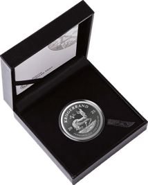 2 Unze Silber Krügerrand VE-Day Privy Mark 2025 (Auflage: 880 | Polierte Platte)