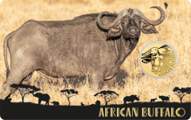 Gold Big Five Büffel Münze