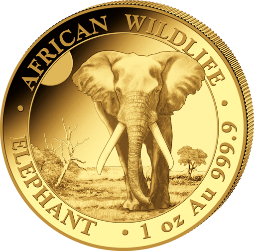 Gold Somalia Elefant First Struck Set 2025 (Auflage: 100 Stück)
