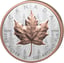 5 Unze Silber Maple Leaf 2025 (Auflage: 1.850 | High Relief | teilvergoldet | Reverse Proof)