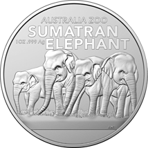 1 Unze Silber Australien Zoo Sumatra Elefant 2022 (Auflage: 25.000)