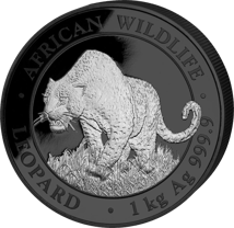 1 kg Silber African Wildlife Leopard 2023 Black Platinum Edition (Auflage:100 | platiniert)