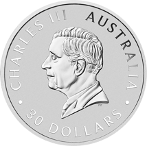 1kg Silber Koala 2024