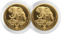 2 x 1/4 Unze Gold Big Five III Elefant 2024 PP Doppelkapsel (Auflage: 1.000 | Polierte Platte)