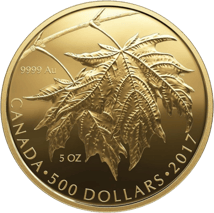 5 Unze Gold Maple Leaf 2017 PP (99 Exemplare)